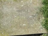 image of grave number 934365